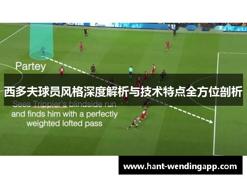 西多夫球员风格深度解析与技术特点全方位剖析